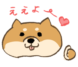 Japanese Shiba inu Tetsu sticker #12558838