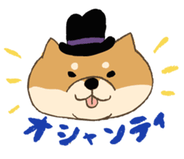Japanese Shiba inu Tetsu sticker #12558842