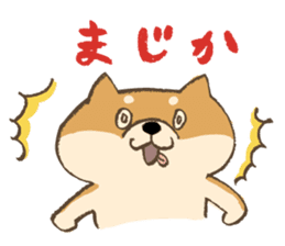 Japanese Shiba inu Tetsu sticker #12558848