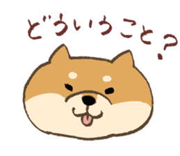 Japanese Shiba inu Tetsu sticker #12558850