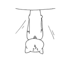 Cat wearing a T-shirt. sticker #12559346