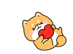 Animation of cute Shiba Inu sticker #12562034