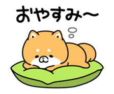 Animation of cute Shiba Inu sticker #12562036