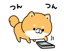 Animation of cute Shiba Inu sticker #12562043