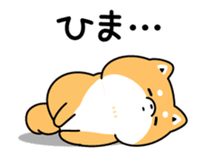Animation of cute Shiba Inu sticker #12562044