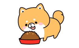 Animation of cute Shiba Inu sticker #12562047