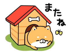 Animation of cute Shiba Inu sticker #12562053