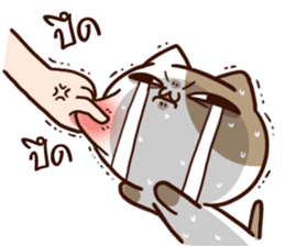 Tofu the cat sticker #12562837