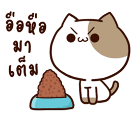 Tofu the cat sticker #12562844