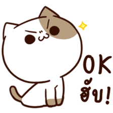 Tofu the cat sticker #12562852