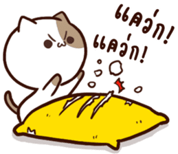 Tofu the cat sticker #12562858