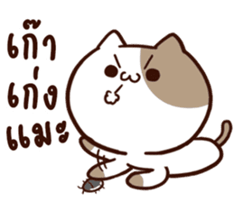 Tofu the cat sticker #12562859