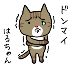 Haruchan cat sticker #12565810