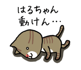 Haruchan cat sticker #12565812