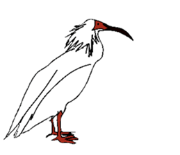 Natural monument(Japan)(English) sticker #12566419