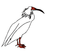 Natural monument(Japan)(English) sticker #12566419