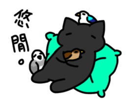 Black cat's life sticker #12567070