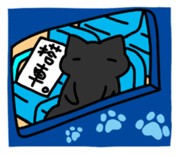Black cat's life sticker #12567088