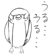 Kyu-chan of myna bird. sticker #12567737