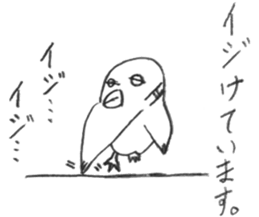 Kyu-chan of myna bird. sticker #12567754