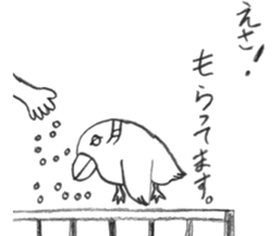 Kyu-chan of myna bird. sticker #12567759