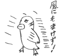 Kyu-chan of myna bird. sticker #12567768