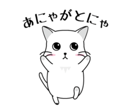 Cat language Sticker sticker #12568926