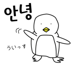 Korean Penguin sticker #12569198