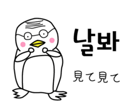Korean Penguin sticker #12569203