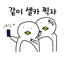 Korean Penguin sticker #12569215
