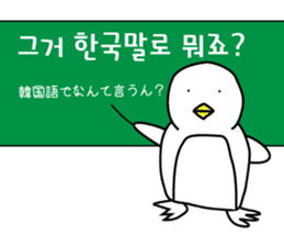 Korean Penguin sticker #12569219