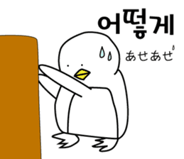 Korean Penguin sticker #12569236