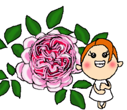 Fairy roses sticker #12569472