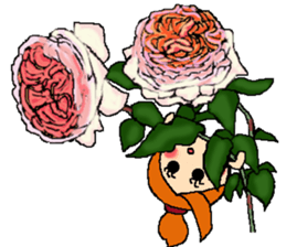 Fairy roses sticker #12569476