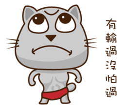 Fart Cat super cocky sticker #12572714