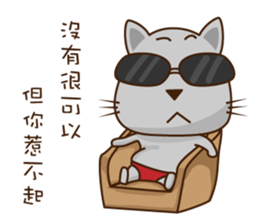 Fart Cat super cocky sticker #12572715