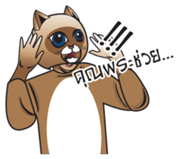 DUO HO&DOR sticker #12572771