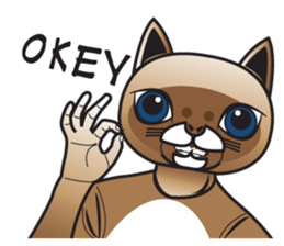 DUO HO&DOR sticker #12572775