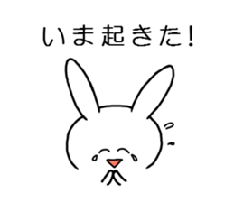 USASTA sticker #12578614
