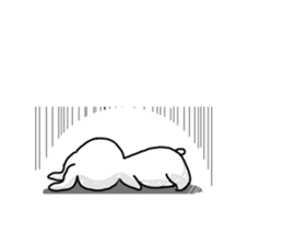 USASTA sticker #12578630