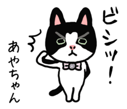 AYACHAN CATS sticker #12579915