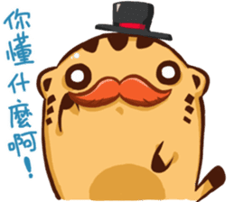 Stay with Kitty sticker #12582361