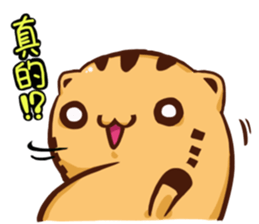 Stay with Kitty sticker #12582372