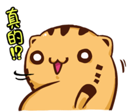 Stay with Kitty sticker #12582372