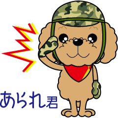 "Arare-kun" of clever toy poodle.