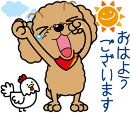 "Arare-kun" of clever toy poodle. sticker #12583134