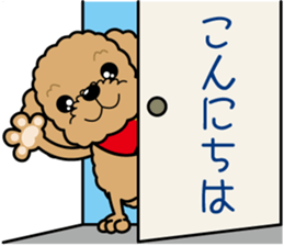 "Arare-kun" of clever toy poodle. sticker #12583135