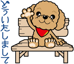 "Arare-kun" of clever toy poodle. sticker #12583139