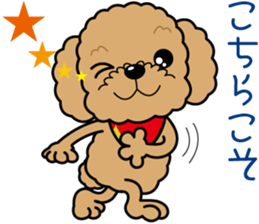 "Arare-kun" of clever toy poodle. sticker #12583140
