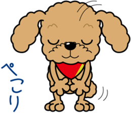 "Arare-kun" of clever toy poodle. sticker #12583143